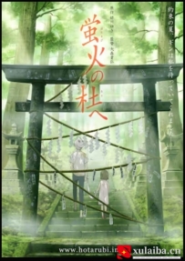 [电影][日韩][动画片]萤火之森 蛍火の杜へ (2011)[百度][迅雷]