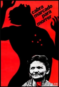 [电影][巴西]二十年后 Cabra Marcado Para Morrer (1984)[百度][迅雷]